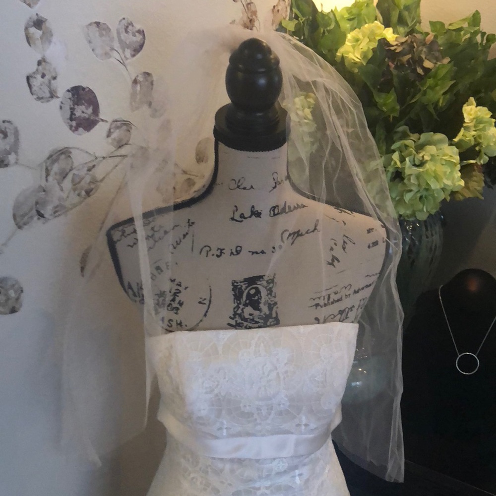 GALINA by David’s Bridal lace wedding dress - Picture 7 of 8
